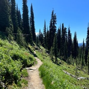 Meet your Posher, Sally